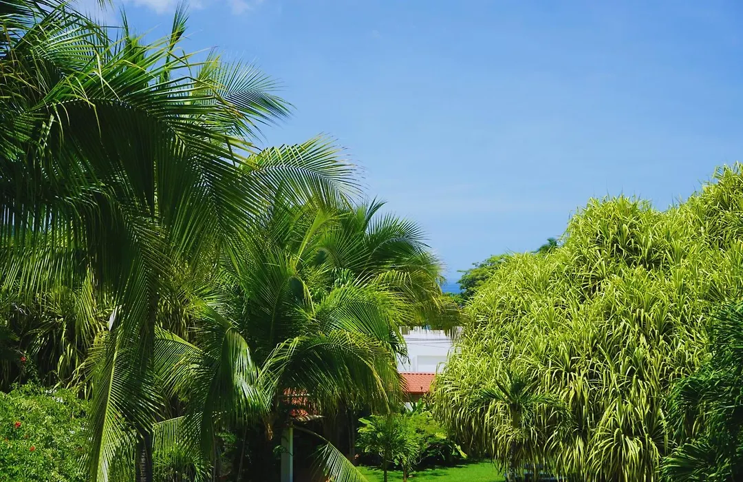 Villa Del Sol Boutique Hotel-1