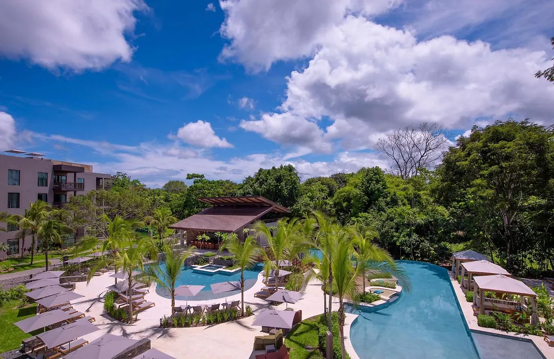 Botanika Osa Peninsula, Curio Collection By Hilton-1