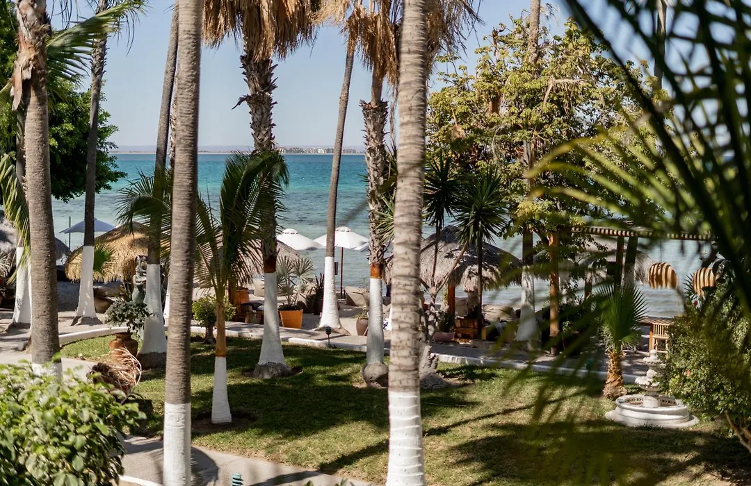 La Concha Beach Hotel & Club-1