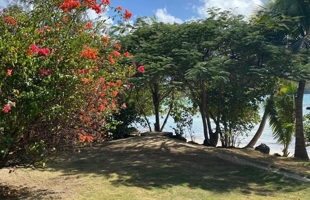 Navutu Stars Resort-1