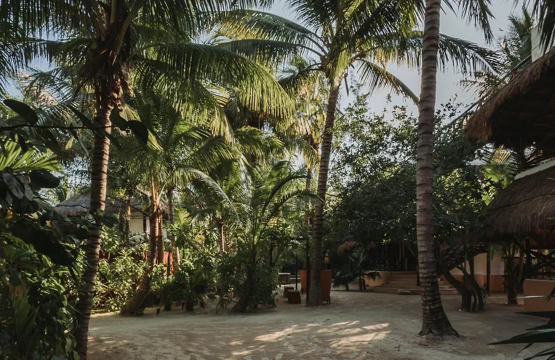 Hotel Las Nubes Holbox-1