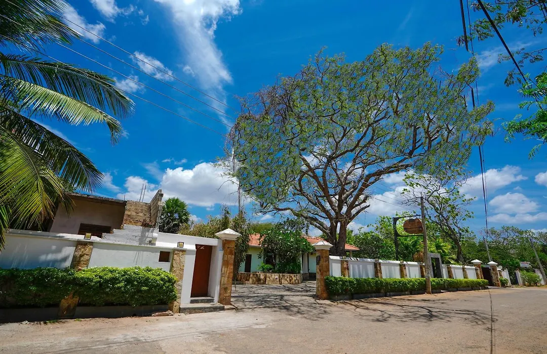 Hotel Tamarind Tree-1