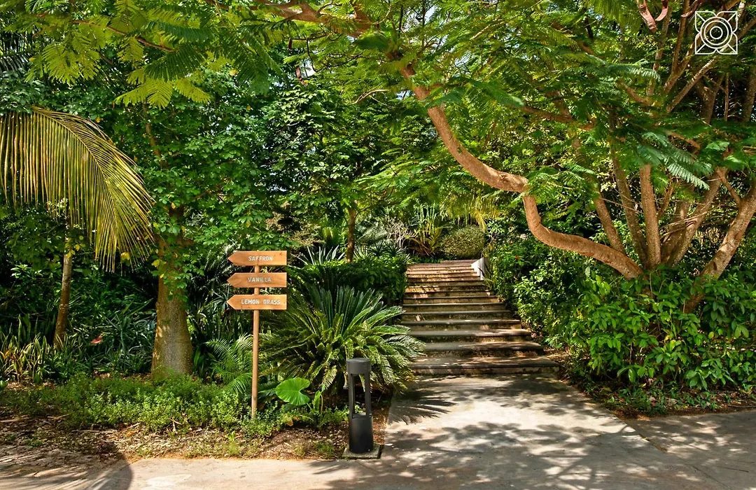Zuri Zanzibar-1