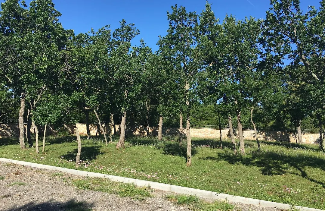 Micanovi Dvori Mobile Home Village Zrmanja-1