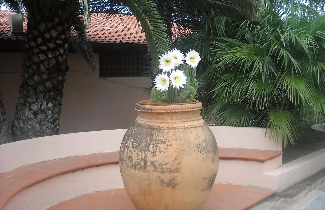 Hotel Villaggio Cala Di Volpe-1