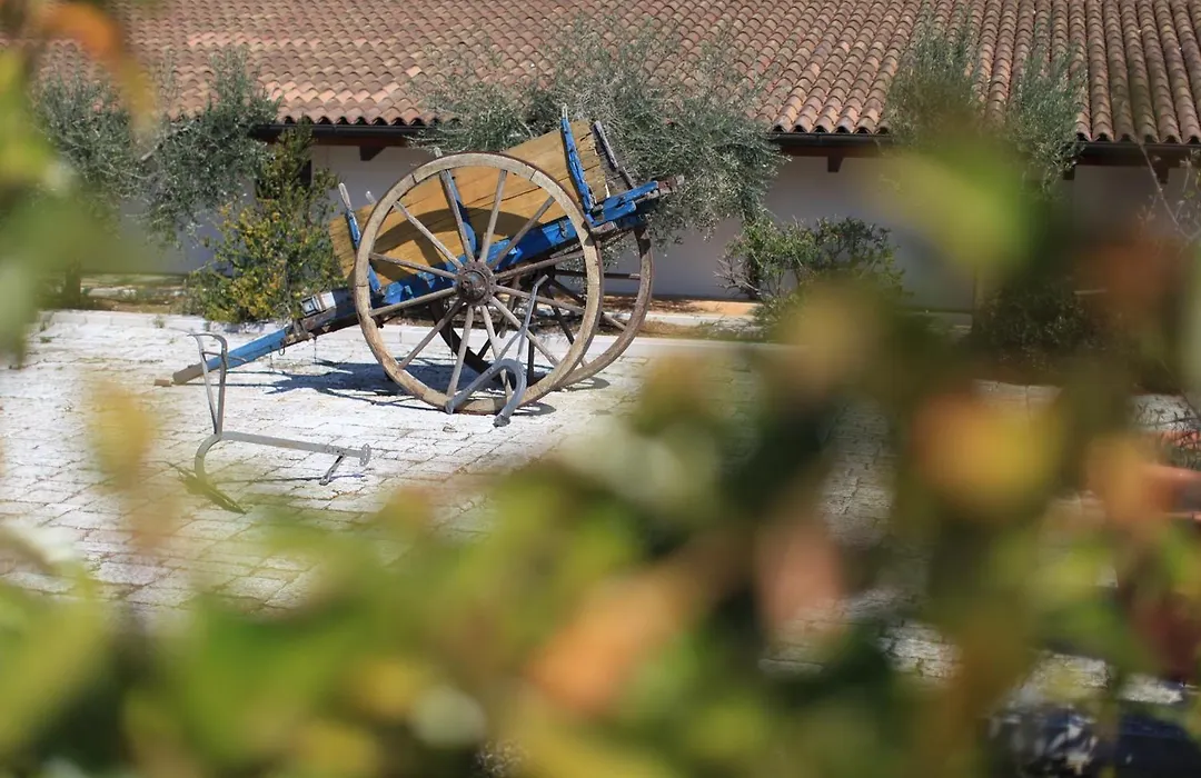 Relais Masseria Serritella-1