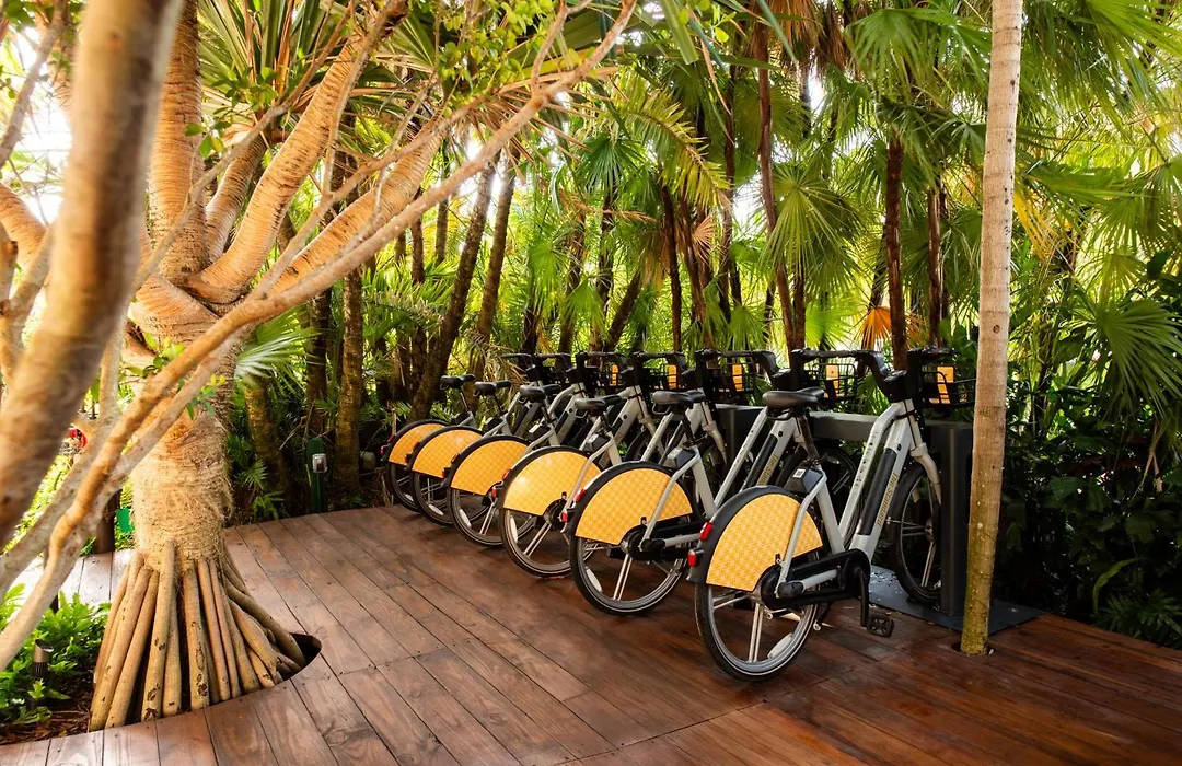 The Standard Spa, Miami Beach (Adults Only)-1