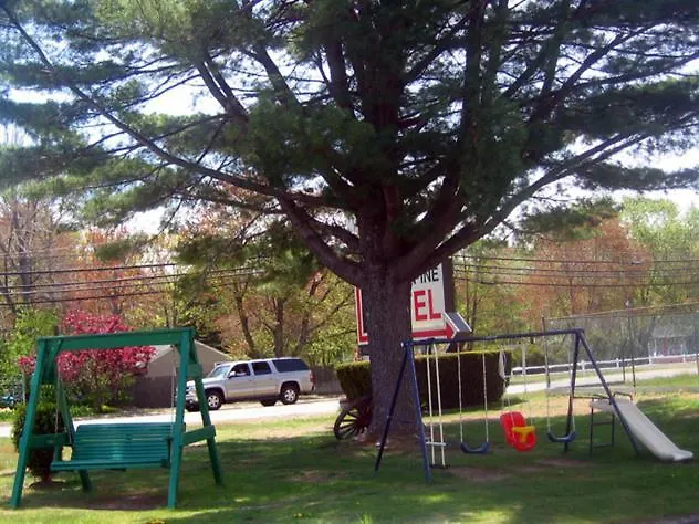 Knotty Pine Motel-1