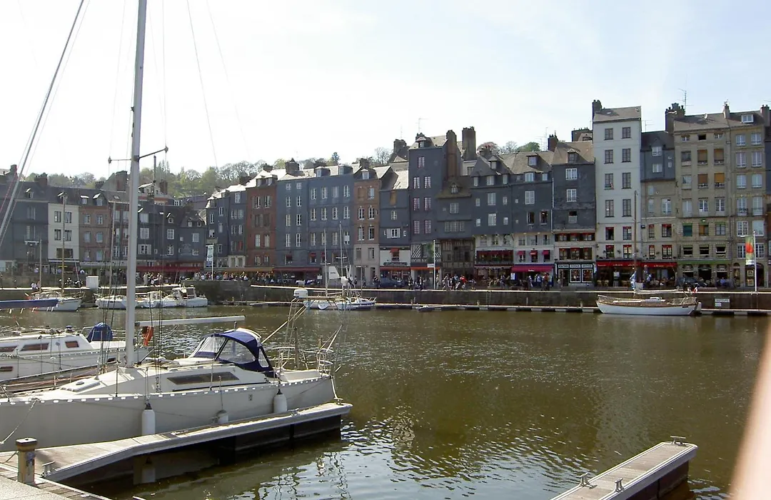 Adonis Hauts De Honfleur-1
