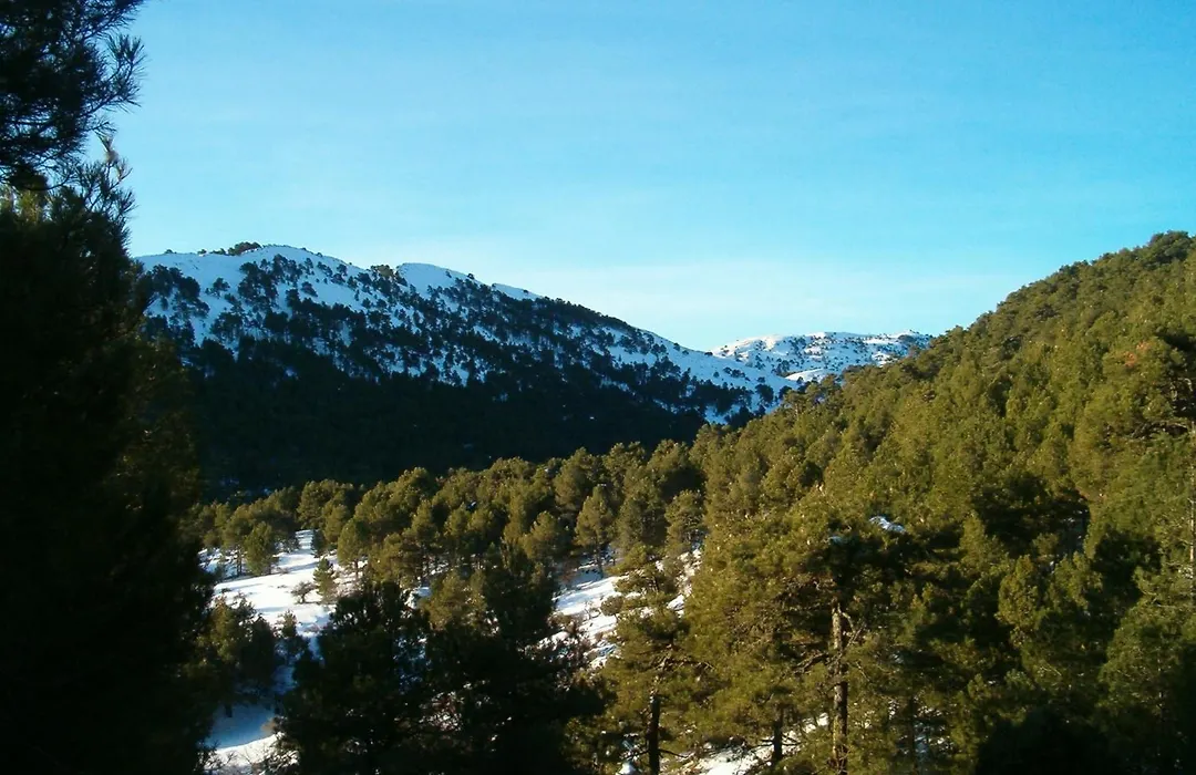 Hotel San Julian-1