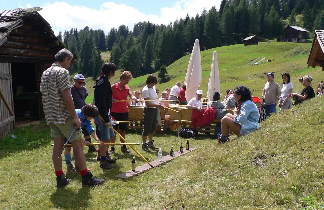 Hotel Alpenrose Dolomites-1