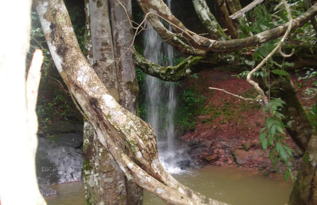 Pousada Jardim da Chapada-1