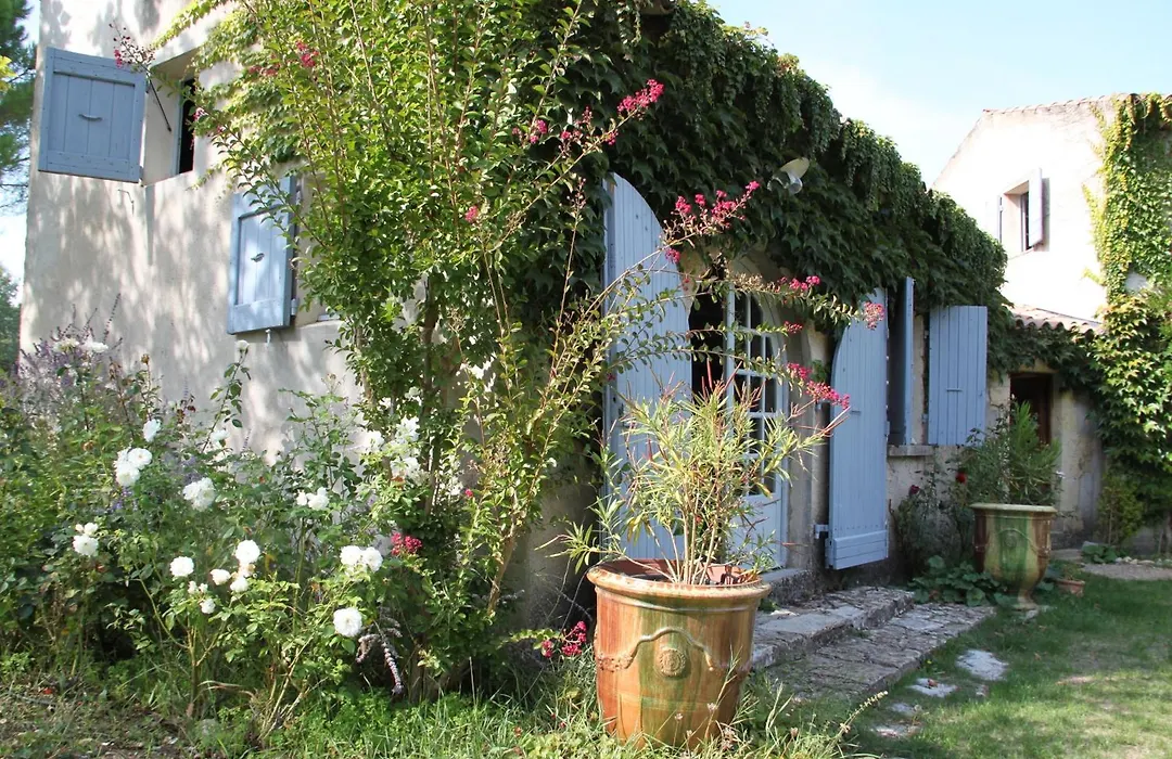 Le Mas des Pins-1