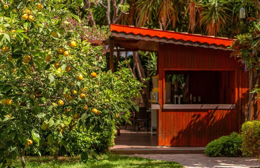 Telatiye Resort Hotel-1