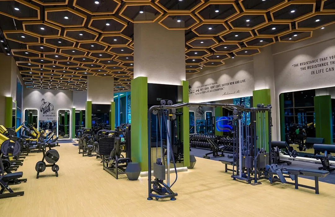 Regnum Carya-1