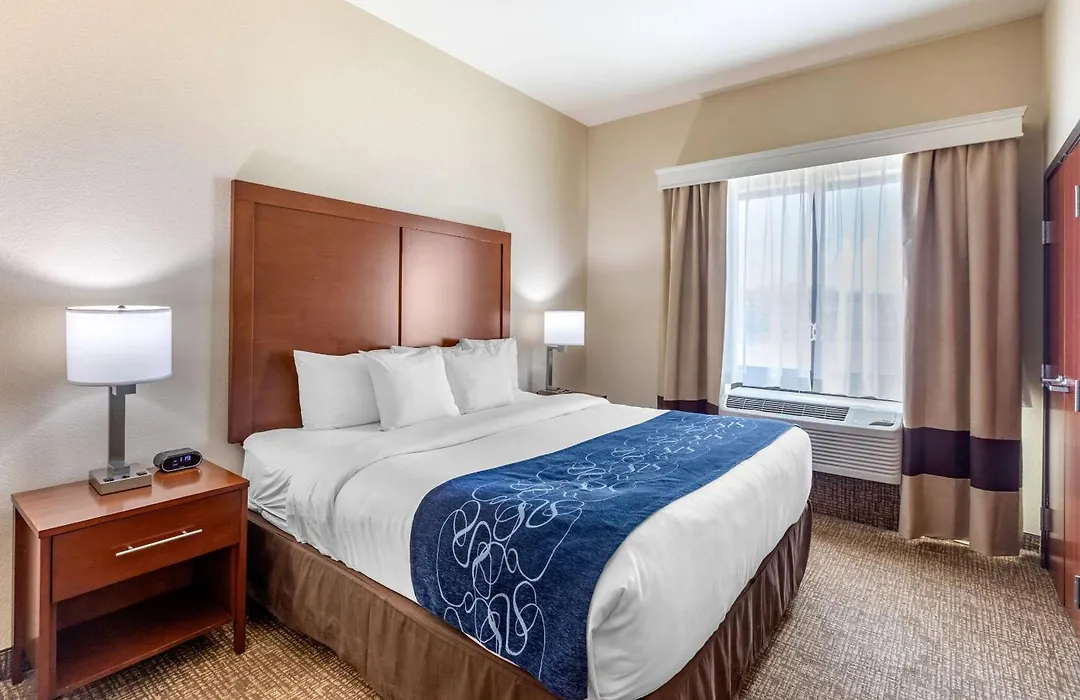 Comfort Suites Near Denver Downtown-1