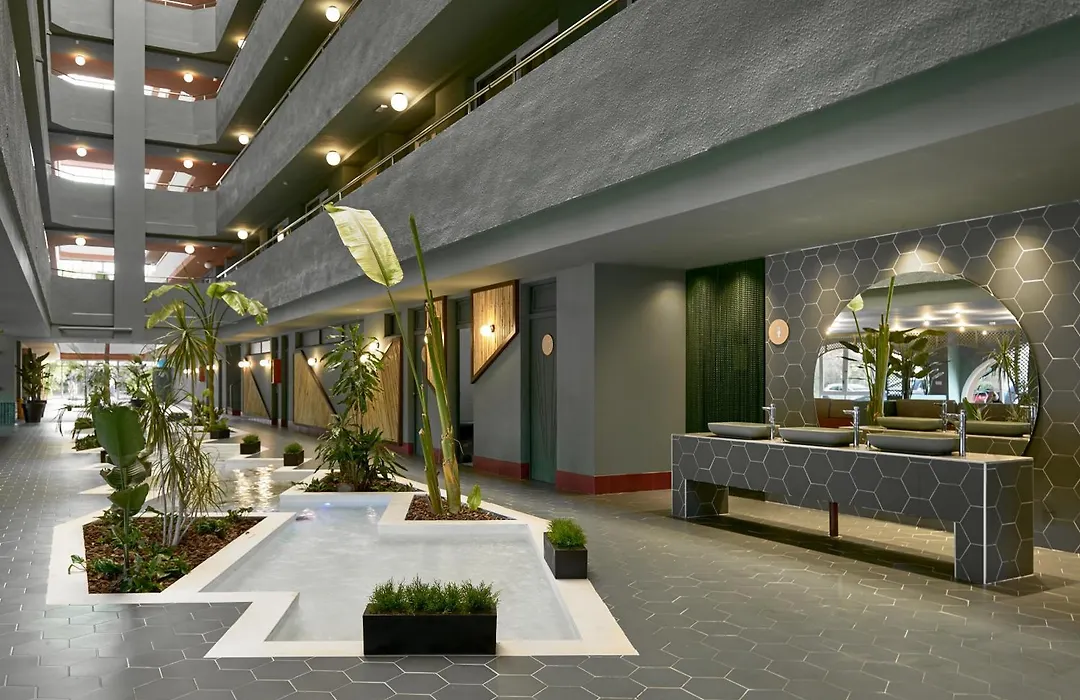 Tent Mojito Suites-1