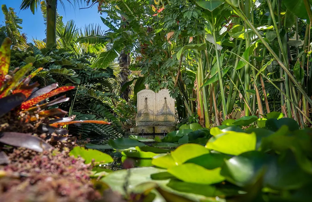 Hotel Hacienda De Abajo-Adults Only-Lujo-1