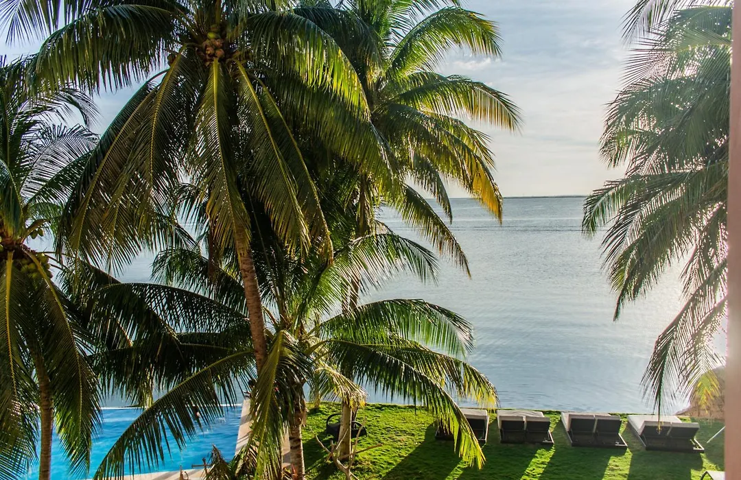 Casa Tortugas Boutique Hotel - CANCUN Luxury Hidden Gem-1