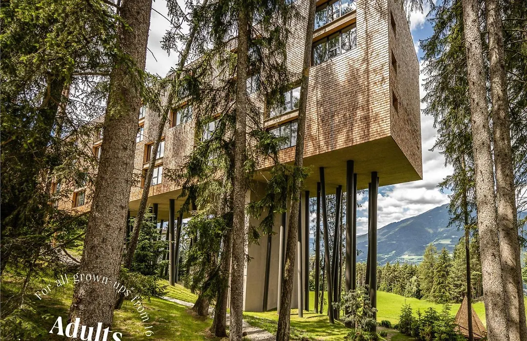 My Arbor - Dolomites-1
