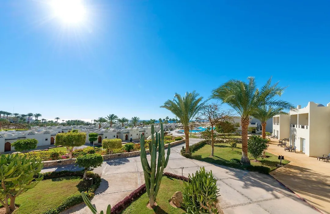 Reef Oasis Beach Resort-1