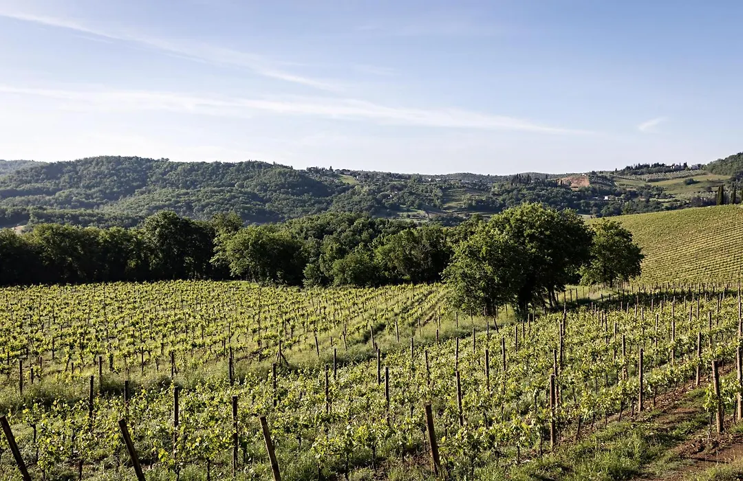 Pieve Aldina - Fontenille Collection-1