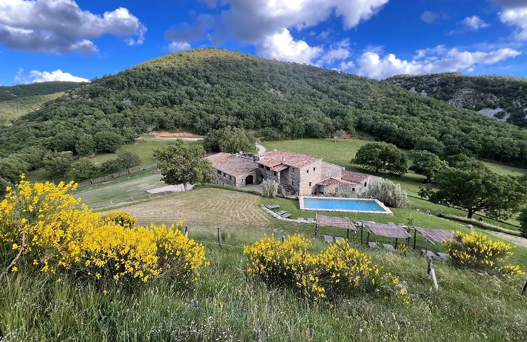 Le Domaine du Castellas-1