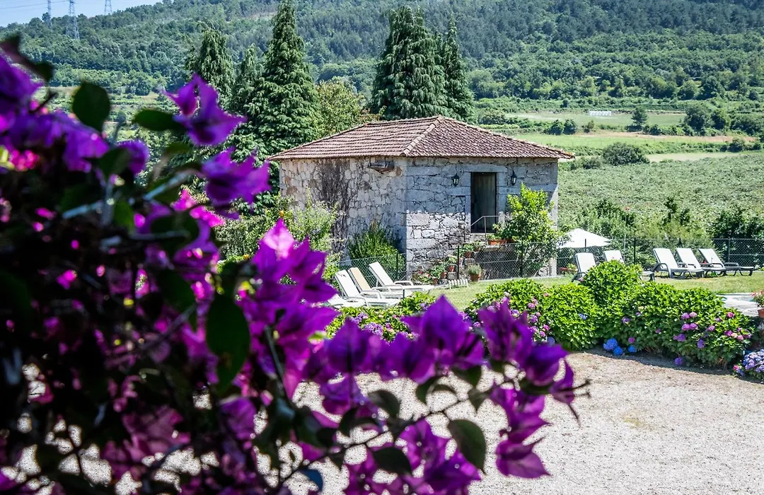 Quinta De S.Vicente-1