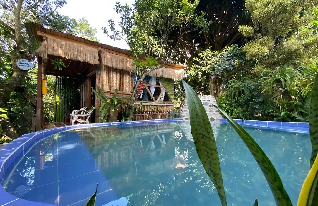 Villa Sonia Eco-Hostel-1