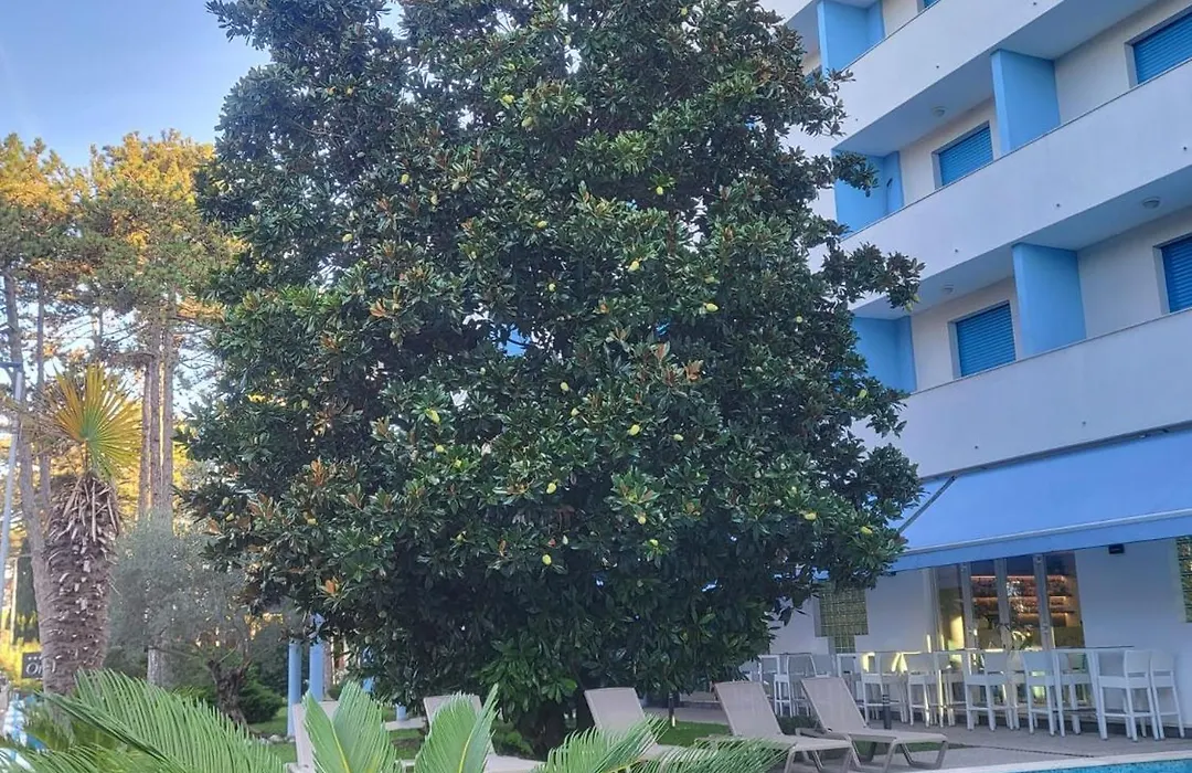 Hotel Olympia-1