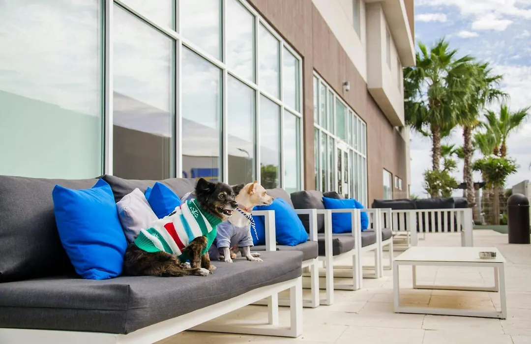 Courtyard By Marriott Hermosillo-1