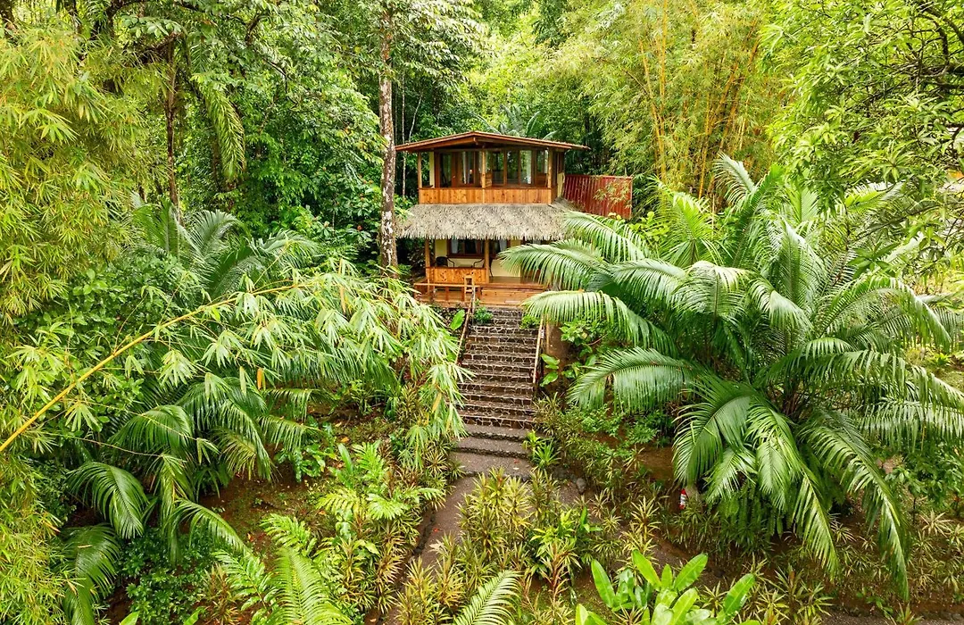 Copa De Arbol Beach & Rainforest Resort-1