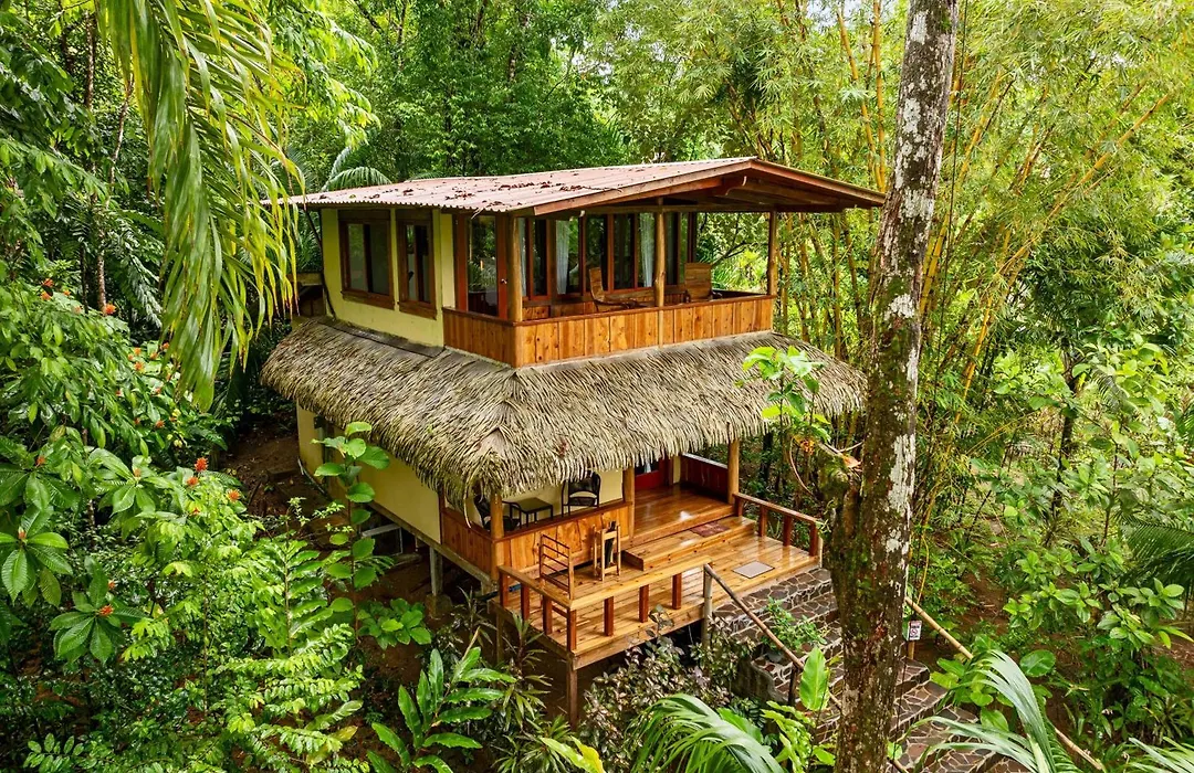 Copa De Arbol Beach&Rainforest Resort-1
