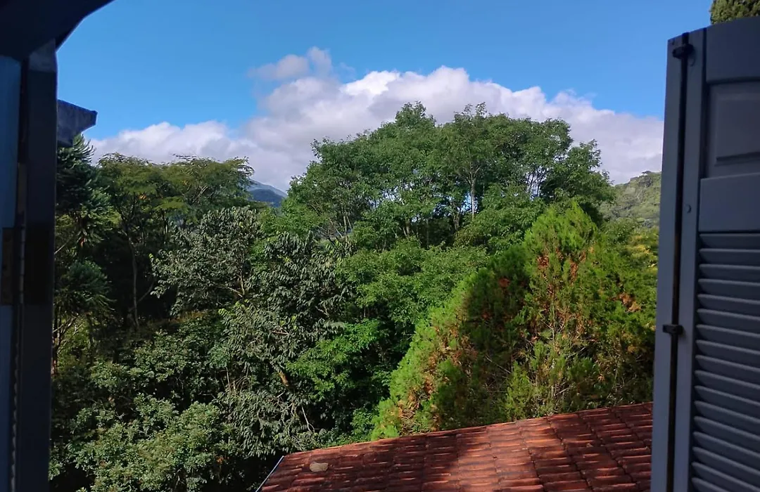 Pássaro de Fogo-1