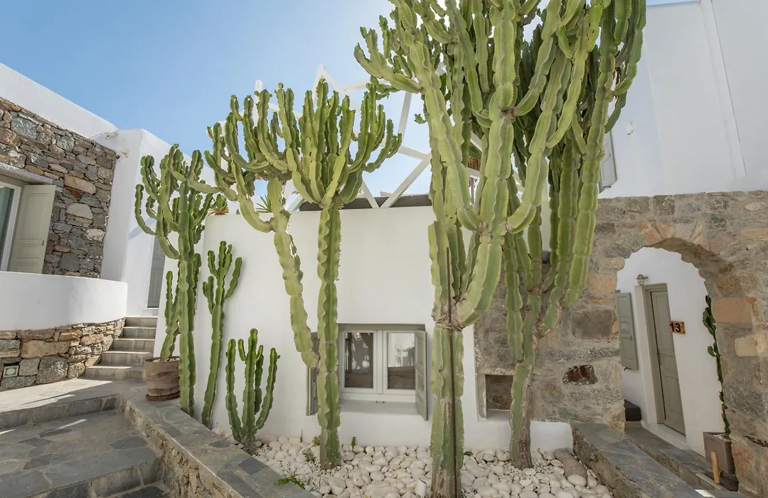 Damianos Mykonos Hotel-1