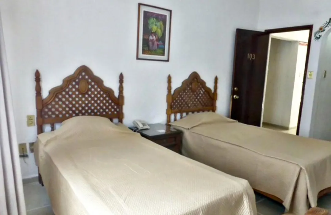 Hotel Bajo el Volcan-1