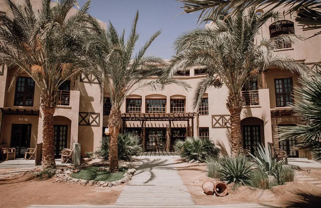 Cook'S Club El Gouna (Adults Only)-1