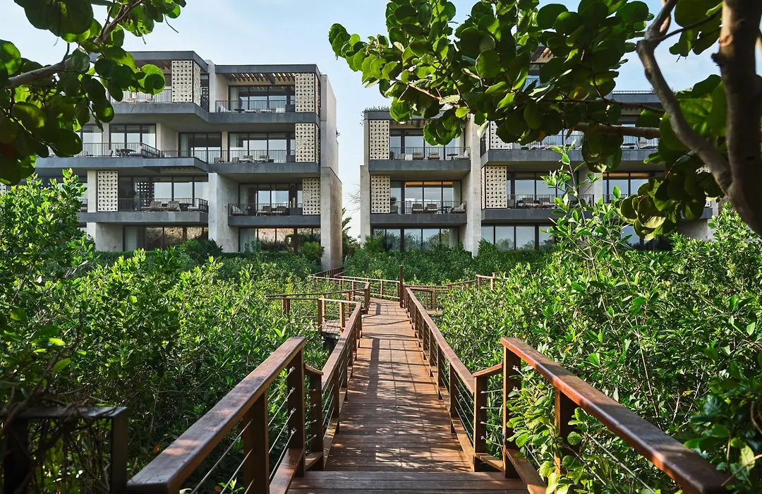 Etéreo, Auberge Resorts Collection-1