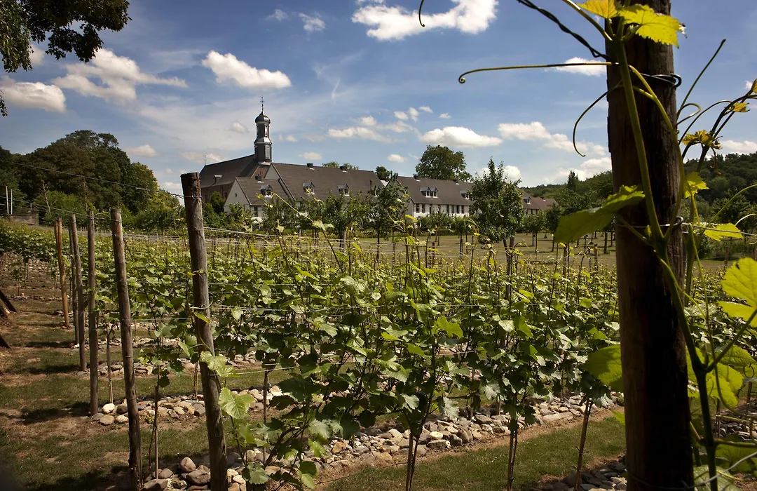 Chateau St Gerlach - Oostwegel Collection, Member Of Relais And Chateaux-1