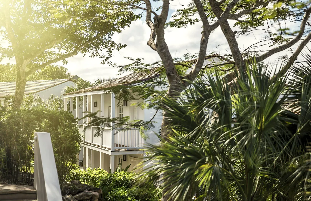 Como Parrot Cay-1