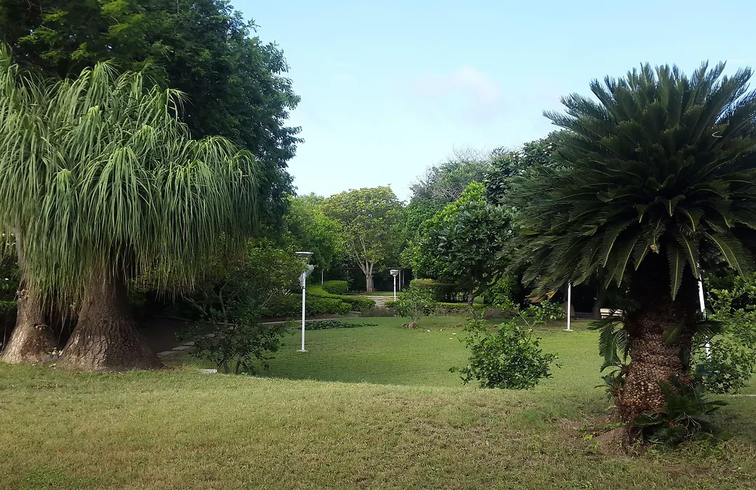 The Meadows Resort And Spa-1