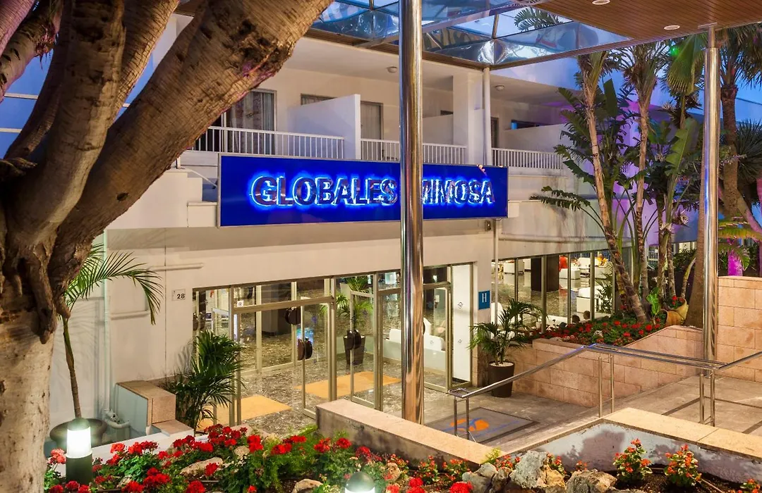 Globales Mimosa-1