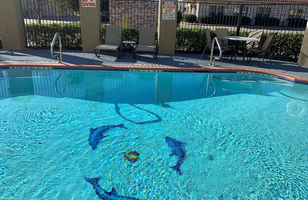 Surestay Plus Hotel By Best Western Mesquite-1