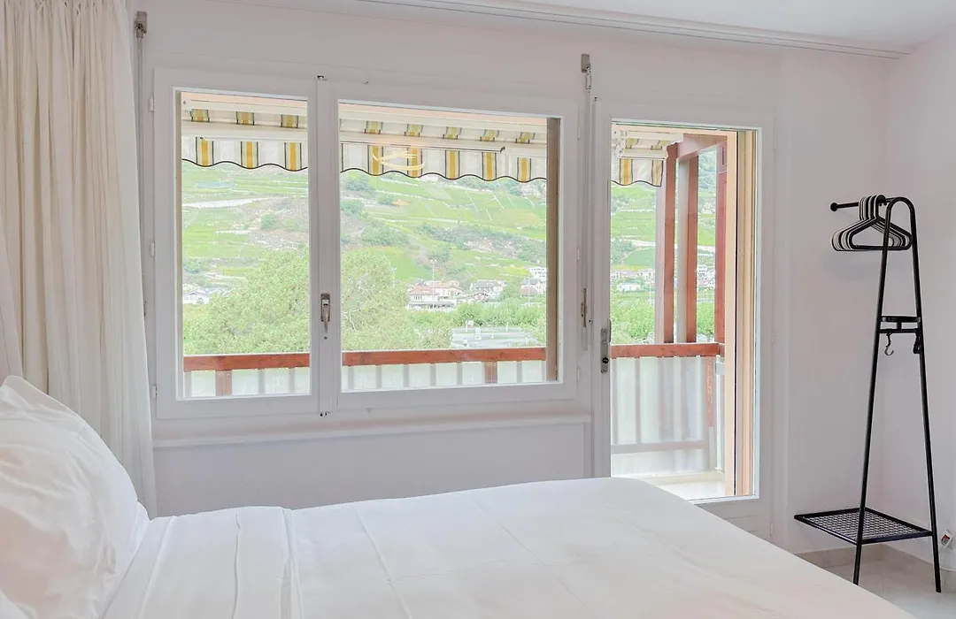 Hotel Des Bains De Saillon-1