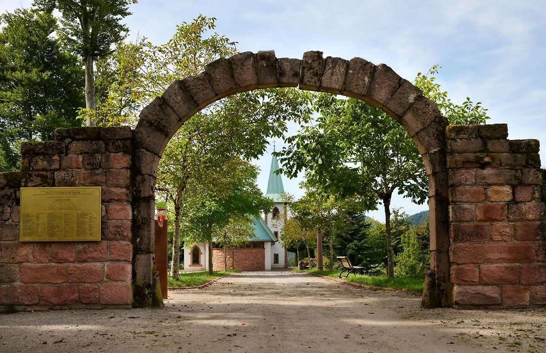 Hotel Dollenberg-1