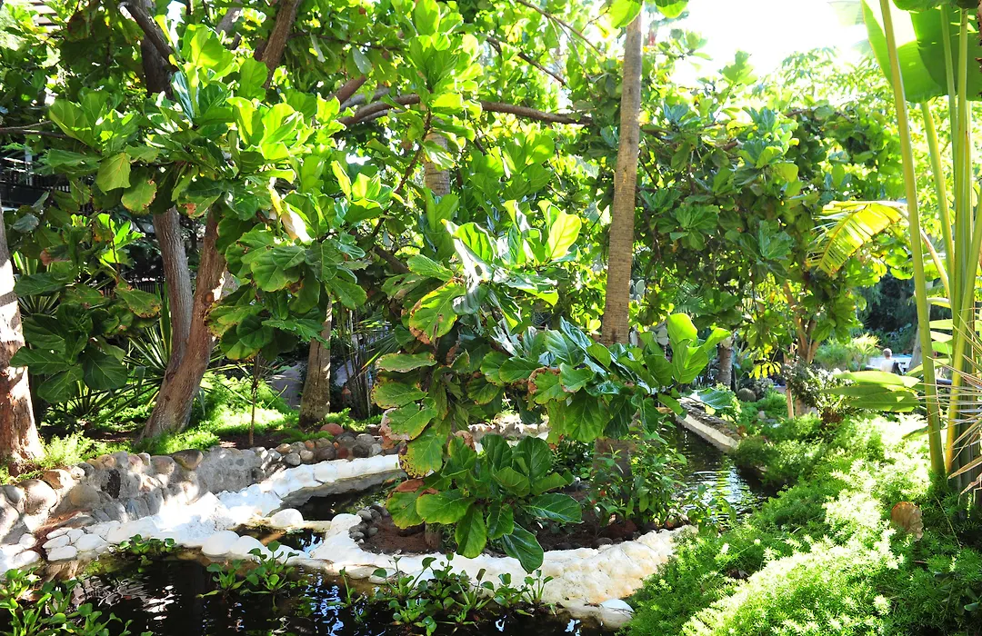 Hotel Parque Tropical-1