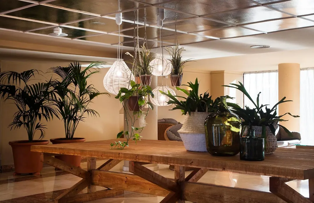 Luna Club Hotel Yoga & Spa 4Sup-1