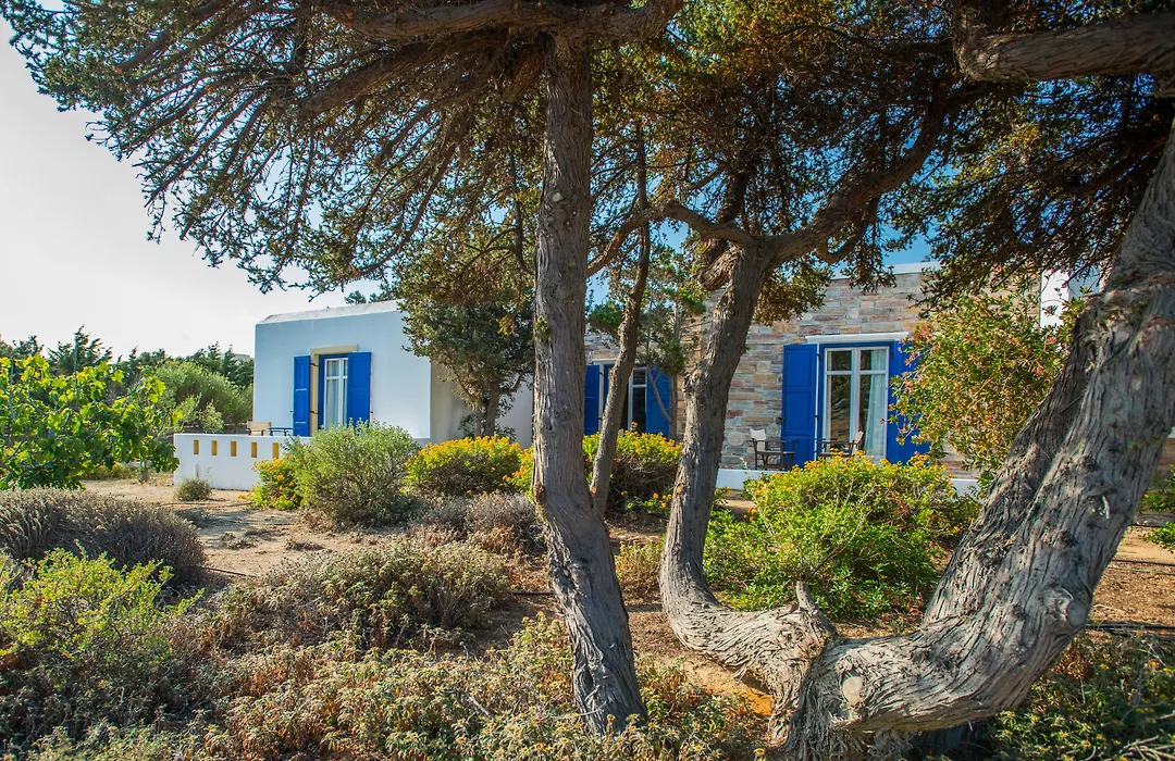 Naxos Palace Hotel-1
