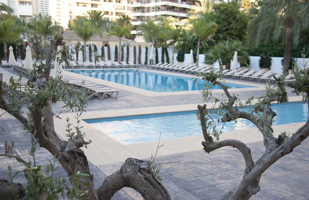 Flash Hotel Benidorm - Recommended Adults Only 4 Sup-1