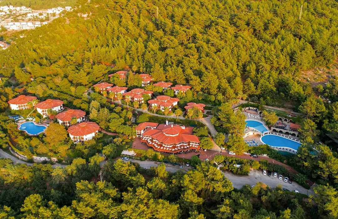Montana Pine Resort-1